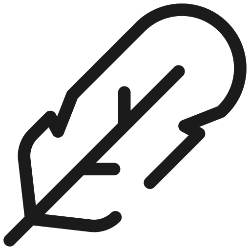 Minimalist feather design